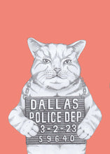 Load image into Gallery viewer, bad cat