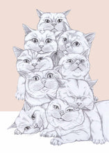 Load image into Gallery viewer, cat pile