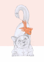 Load image into Gallery viewer, hungry cat