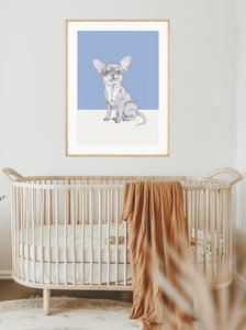 Chihuahua