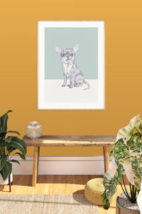 Chihuahua