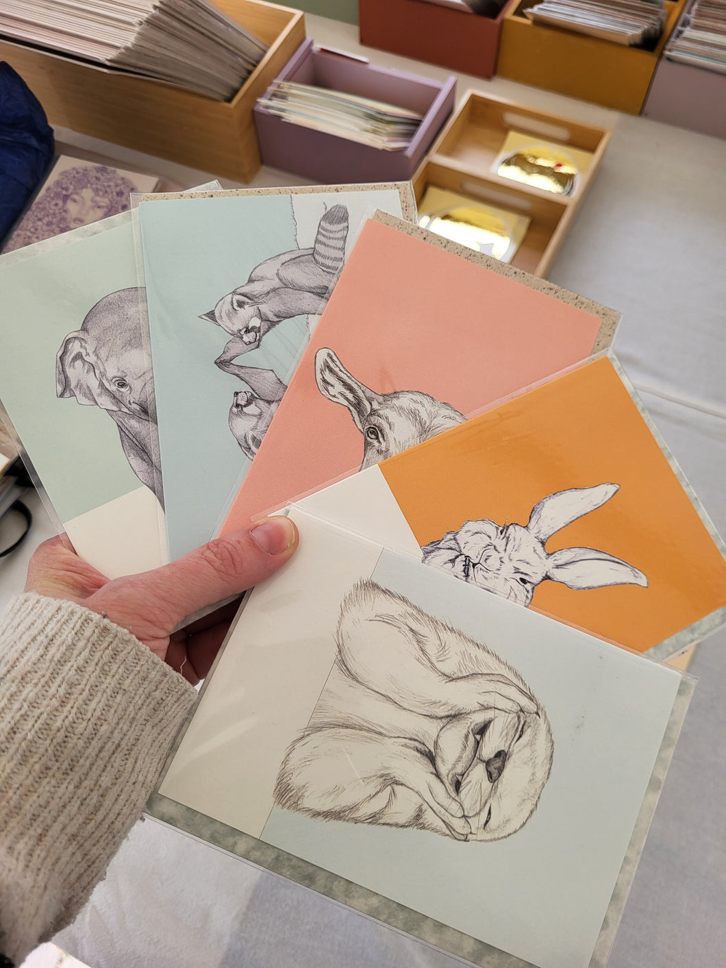 5 or 10 choice cards