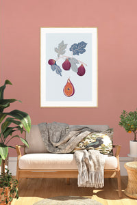 Fig