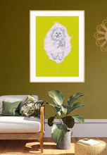 Load image into Gallery viewer, Pomeranian
