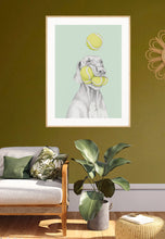 Load image into Gallery viewer, Vizsla

