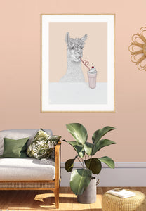 Alpaca