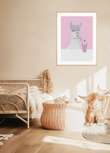 Alpaca