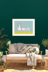 Dachshund