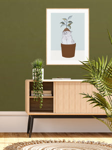 Cat Plant