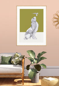 Cavelier King Charles Spaniel