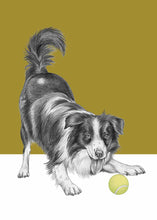 Load image into Gallery viewer, Bordercollie
