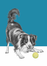 Load image into Gallery viewer, Bordercollie
