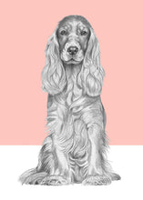Load image into Gallery viewer, Cocker Spaniel
