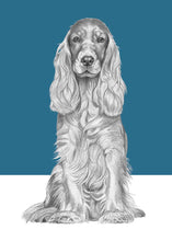 Load image into Gallery viewer, Cocker Spaniel
