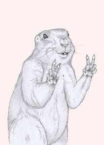 peace marmot