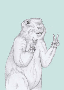 peace marmot