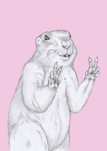 peace marmot