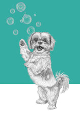 Load image into Gallery viewer, Shih Tzu
