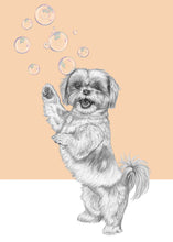 Load image into Gallery viewer, Shih Tzu
