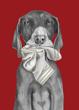 Load image into Gallery viewer, Sock Lover
