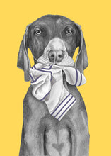 Load image into Gallery viewer, Sock Lover
