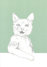 Load image into Gallery viewer, Cat Lovers Special green package (10 cards)
