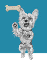 Load image into Gallery viewer, Yorkie
