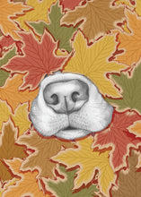 Load image into Gallery viewer, Nosy Dog
