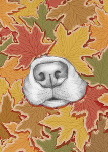 Nosy Dog