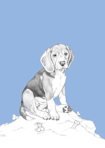 Beagle