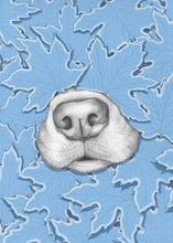 Load image into Gallery viewer, Nosy Dog
