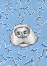 Load image into Gallery viewer, Nosy Dog
