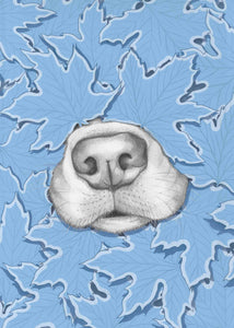 Nosy Dog