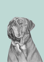 Load image into Gallery viewer, Bordeaux dog
