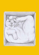Load image into Gallery viewer, cat in a box
