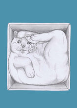 Load image into Gallery viewer, cat in a box
