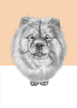 Load image into Gallery viewer, Chowchow

