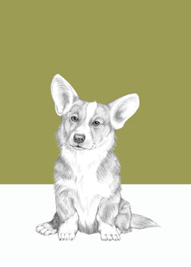 Corgi 2