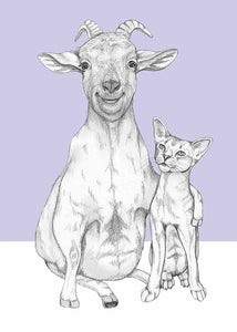 goat and cat