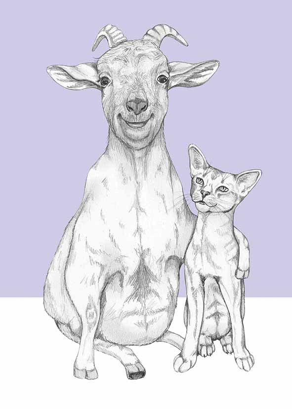 goat and cat