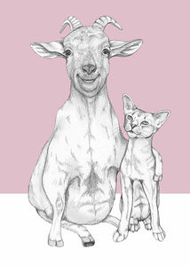 goat and cat