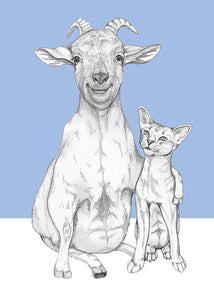 goat and cat