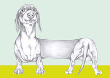 Load image into Gallery viewer, dachshund
