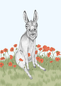 Happy Donkey