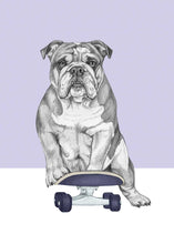 Load image into Gallery viewer, English Bulldog

