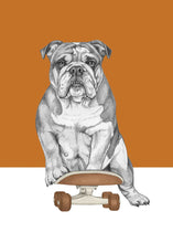 Load image into Gallery viewer, English Bulldog
