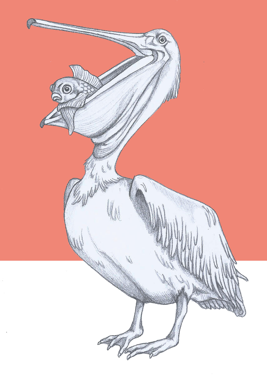 Fish tails art print, illustration by artist i am nien amsterdam – I AM ...