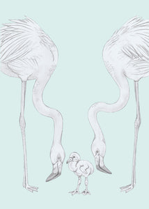 flamingo parents and baby