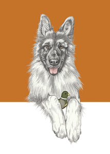 German Shepherd