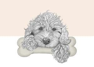 Golden Doodle